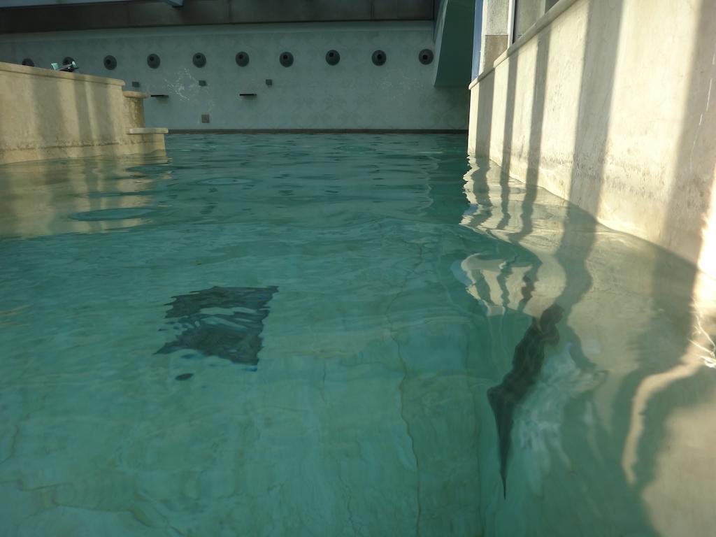 Отель Terme Di Venturina Вентурина Экстерьер фото
